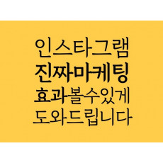 최적화 마케팅 인스타그램 팔로워
