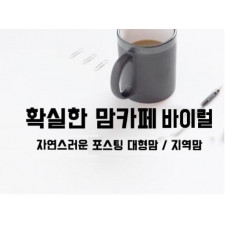 맘카페 바이럴 포스팅 정확하게 배포